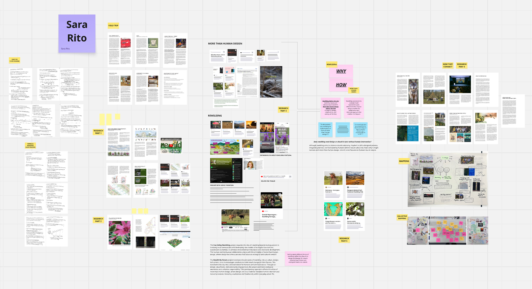 Beyond Sustainability research board composition